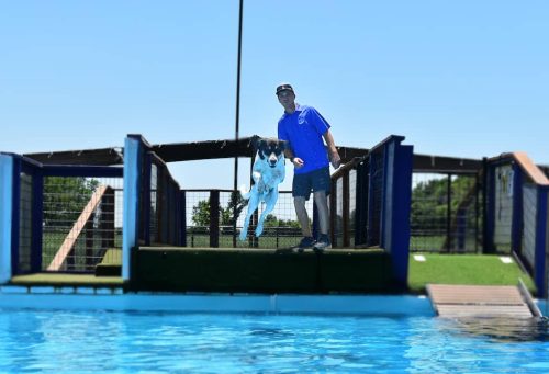 Dog-Training-Bentonville-Arkansas-Bucky-2